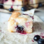 Blueberry Butter Swim Biscuits