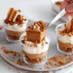 High-Protein No-Bake Biscoff Cheesecake Cups