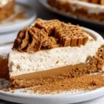Vegan Biscoff Cheesecake